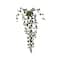 Ashland; 4 Pack: 34" Hanging Curly Ficus Bush by Ashland®; Category:Bushes; Image:2
